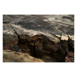 Charrette En Bois Patiné Rose -Jardin Fournitures Boutique b5f70c02 f430 4ddd aa24 5aac1d843487