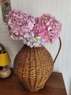 Jarre En Rotin 11 Jarre En Rotin -Jardin Fournitures Boutique b943c5d8 5ab6 449e aebc 627f8055a1ec