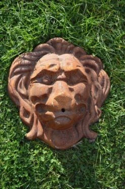 Tête De Lion Pour Bassin Ou Fontaine En Fonte 9 Tête De Lion Pour Bassin Ou Fontaine En Fonte -Jardin Fournitures Boutique bae68e9c 7b6a 42ad be5c 395852fac001