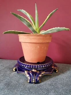 Support Plante Ancien Faïence Sarreguemines -Jardin Fournitures Boutique baf68bf2 103c 4e0c b8dc b93a531bd284