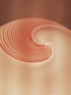 Lampe De Table En Verre De Murano -Jardin Fournitures Boutique bb29333b 446b 4542 b67d a1170b6cd219