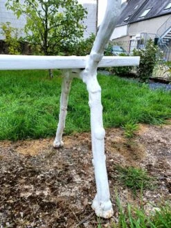 Banc De Jardin Ancien Avec Pieds En Fonte -Jardin Fournitures Boutique bccd9c8d 8840 4fab bbd6 3767f3bfa77a