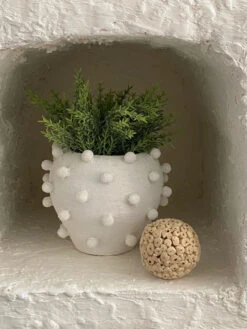 Cachepot Blanchi -Jardin Fournitures Boutique bdd03e4c d28e 4e91 8984 22b4a6565e27