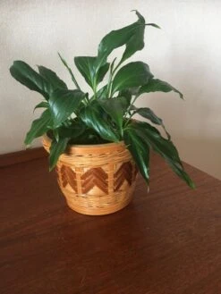 Corbeille Osier Et Bambou Vintage -Jardin Fournitures Boutique bece6422 89db 4bd0 b9c6 e9e9f8cee154