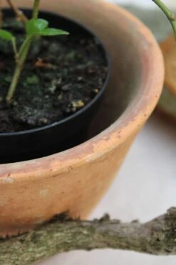 Lot De 2 Pots à Résine -Jardin Fournitures Boutique bf9fd2f2 9f83 4518 9c52 a2612dfdf7ec