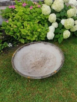 Vasque Design René Pechère édité Par Eternit -Jardin Fournitures Boutique c2e536de 6935 48f6 b769 f30454e004ea