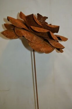 Rose En Fer Forgé -Jardin Fournitures Boutique c35ddaf5 9476 4293 a5f0 483cfa6965f2