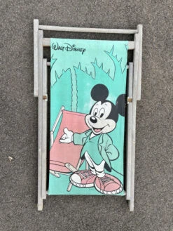 Transat Enfant Chilienne 1980 Mickey Walt Disney -Jardin Fournitures Boutique c4bac7f6 24c1 425c a96c 29b4f407b619