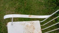 Banc De Jardin Vintage En Fer Et Métal Du Milieu Du Siècle, Années 50 -Jardin Fournitures Boutique c5f0fb88 db2c 421a 9ce1 17ce20ddd52f