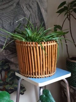 Corbeille Cache-pot Art-populaire Bambou Et Scoubidou Années 50 -Jardin Fournitures Boutique c759f926 f8f0 457b 984b e983c8c26d3e