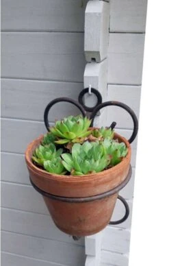 Paire De Portes Pots En Fer Forgé. 11 Paire De Portes Pots En Fer Forgé. -Jardin Fournitures Boutique cd3a02d1 562d 438a 9987 04597a62149c