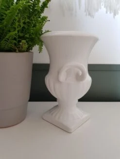 Cache Pot Médicis -Jardin Fournitures Boutique d106d2f6 8cda 4fae b783 c65c3e93b0ff