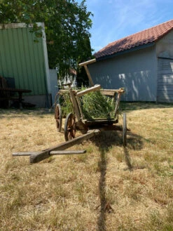 Charrette D’antan 11 Charrette D’antan -Jardin Fournitures Boutique d89a8506 73d1 4404 a095 3a6f09849792