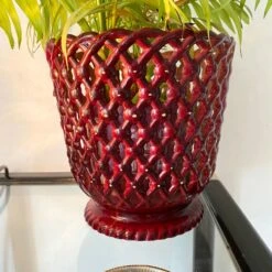 Cache Pot Syla Bakélite -Jardin Fournitures Boutique da1be0d9 6e0b 40f6 b0c8 17100184074e