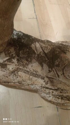 Âne Porte Plantes En Poussière De Marbre Reconstitué De La Maison Italgarden 27 Âne Porte Plantes En Poussière De Marbre Reconstitué De La Maison Italgarden -Jardin Fournitures Boutique dae1ff57 524e 402b 9a9b 71f30c2887ee