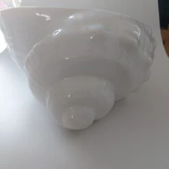 Cache Pot Coquillage -Jardin Fournitures Boutique db75005a a955 44cc 92e2 f9b8635f43a9