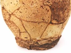 Gargoulette, Cruche En Terre Cuite Et Liège -Jardin Fournitures Boutique dd6fe4a1 a061 4fe9 859c 604b4682c65c