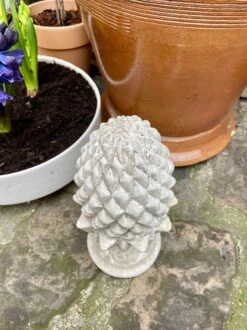 Pomme De Pin D'ornement En Béton Blanchi -Jardin Fournitures Boutique ddb43336 a84b 4720 acfb c1432c78eac8