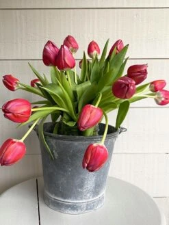 Seau En Zinc 10 Seau En Zinc -Jardin Fournitures Boutique e04c7553 e062 4107 a6a5 f9b9bf9b3df4