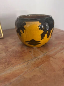 Pot Orchies -Jardin Fournitures Boutique e09c0ab4 4704 4935 940a 3fc751ff079f