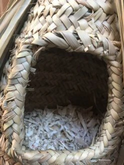 Nid D'oiseau En Doum, Fait à La Main, 100% écologique. 11 Nid D'oiseau En Doum, Fait à La Main, 100% écologique. -Jardin Fournitures Boutique e10b850c ea16 41cc b0b5 ef485d0dbb07