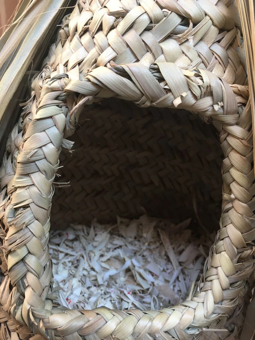 Nid D'oiseau En Doum, Fait à La Main, 100% écologique. 7 Nid D'oiseau En Doum, Fait à La Main, 100% écologique. – Image 5