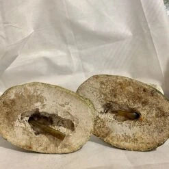 Poissons Fontaines -Jardin Fournitures Boutique e150c7f9 6bcc 449e 9bb6 bd40d6f54617