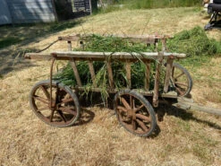 Charrette D’antan 10 Charrette D’antan -Jardin Fournitures Boutique e287f30a 9e0a 4e1d b542 9610a4586809