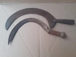 Croissant à Jardin -Jardin Fournitures Boutique e37d6373 58eb 4ef1 b693 98e0e7d7680e