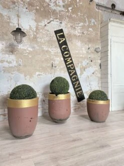 Jardinières, Creusets De Fonderie -Jardin Fournitures Boutique e3b0e460 601b 4f56 8027 ce8cc0ad1984