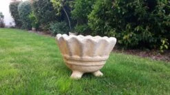 Poterie Extérieur Pour Fleurs Ou Plantes -Jardin Fournitures Boutique e4e67e3c b47f 4217 a542 1005debbab0c