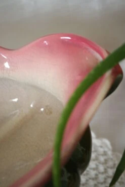 Jardinière Cache Pot Barbotine Orchies Art Déco 27 Jardinière Cache Pot Barbotine Orchies Art Déco -Jardin Fournitures Boutique e6047f24 af37 430b aa87 99bb283513e6