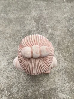 Statue De Jardin Guerrier XIAN Agenouillé En Terre Cuite 87 Cm -Jardin Fournitures Boutique e6e3bae3 4f62 458b a55e 427f285e6c18