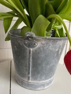 Seau En Zinc 13 Seau En Zinc -Jardin Fournitures Boutique e72310a4 adb6 4e31 a0da 53c6a3143bc2