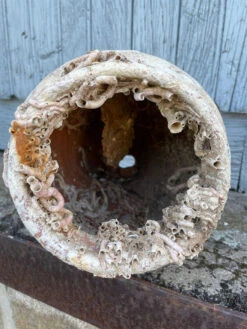 Piège à Poulpe En Terre Cuite Du 19ème Siècle -Jardin Fournitures Boutique e89f89e8 0d5f 4960 a1bb 398058ea7e0f