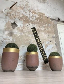 Jardinières, Creusets De Fonderie -Jardin Fournitures Boutique eaac733d 5a94 4376 a32d 622cdf5dc66f