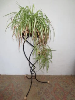 Porte Plantes Ou Fleurs En Fer Forgé Noir De Forme Hélicoidale 14 Porte Plantes Ou Fleurs En Fer Forgé Noir De Forme Hélicoidale -Jardin Fournitures Boutique ed3f203f cbc8 4d18 b265 b88d4f424218