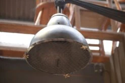 Lampe Applique De Rue En Fonte Et Métal 1925 -Jardin Fournitures Boutique f109191f 688a 4e44 9758 35d20c09f29a