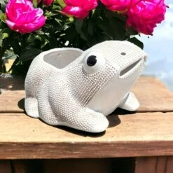 Cache Pot Grenouille En Porcelaine Chinoise 1900 -Jardin Fournitures Boutique f4b272cd c578 4032 b4d3 e4f7d29d9c19