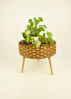 Jardinière Fleurs Vintage, Années 1970 14 Jardinière Fleurs Vintage, Années 1970 -Jardin Fournitures Boutique f9f77a8f 866a 4889 ab45 39783fb88b0e