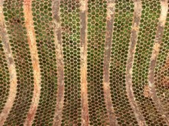 Banc Métal Oxydé René Malaval 1950 10 Banc Métal Oxydé René Malaval 1950 -Jardin Fournitures Boutique faeccf7c 2ae9 4363 8c92 d0d901bbbbd0