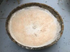 Jardinière Vasque Orientable Design René Pechère édité Par Eternit -Jardin Fournitures Boutique fb35c846 4f4f 4b2d 8216 99c9d50bf6c2