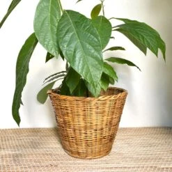 Cache Pot En Osier Corbeille -Jardin Fournitures Boutique fb3a61d6 2f4e 45a0 a465 e7e3ffc8f952