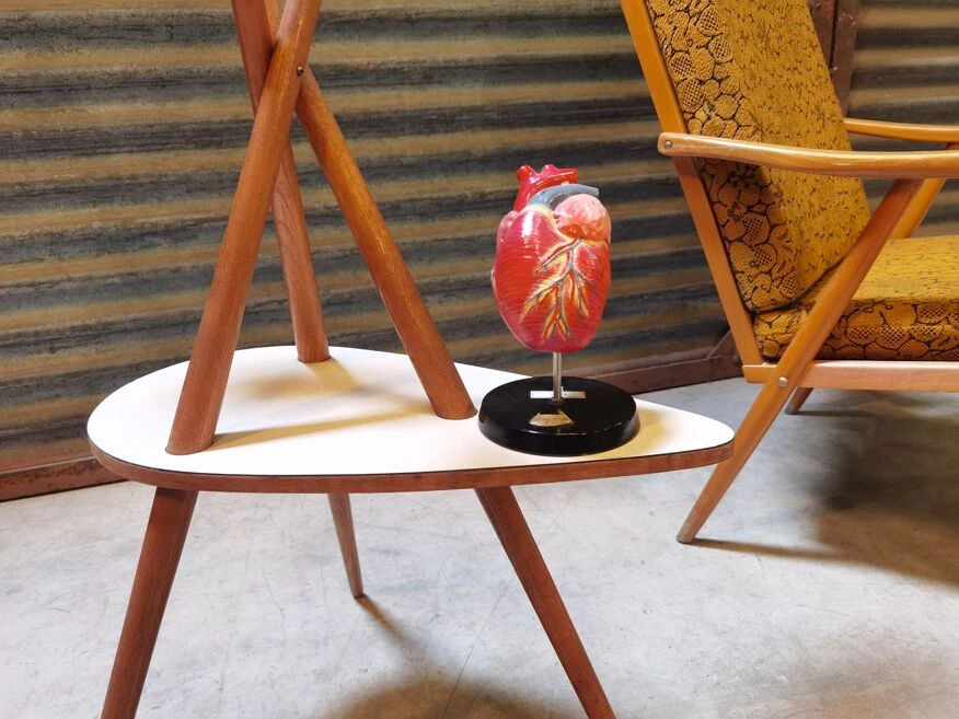 Porte Plante En Bois Formica Et Fibre De Verre Origine Tchécoslovaque 1950/1960 22 Porte Plante En Bois Formica Et Fibre De Verre Origine Tchécoslovaque 1950/1960 – Image 20