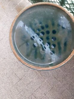 Cache Pot En Céramique Bitossi -Jardin Fournitures Boutique fdb47e2b 2880 49fa bdf3 75b85218e376